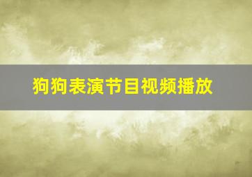 狗狗表演节目视频播放