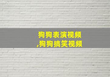 狗狗表演视频,狗狗搞笑视频