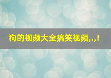 狗的视频大全搞笑视频,.,!