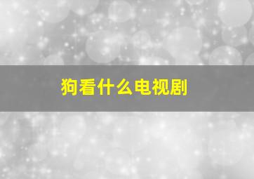 狗看什么电视剧