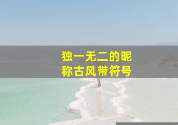 独一无二的昵称古风带符号