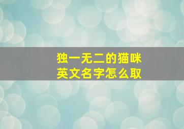 独一无二的猫咪英文名字怎么取