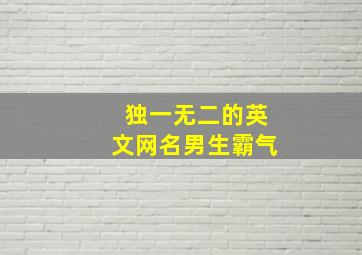 独一无二的英文网名男生霸气