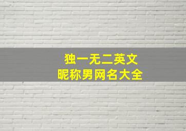 独一无二英文昵称男网名大全