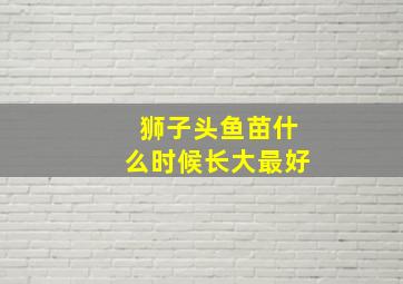 狮子头鱼苗什么时候长大最好