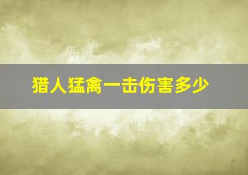 猎人猛禽一击伤害多少