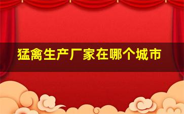 猛禽生产厂家在哪个城市