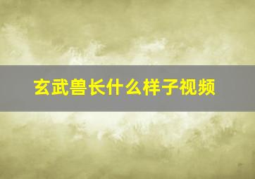 玄武兽长什么样子视频