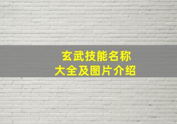 玄武技能名称大全及图片介绍