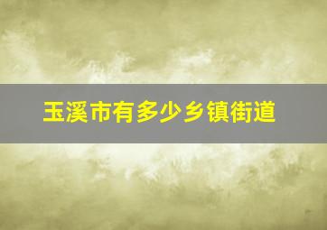 玉溪市有多少乡镇街道