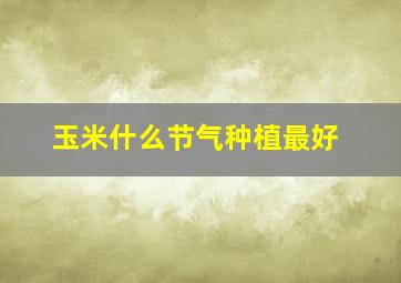 玉米什么节气种植最好