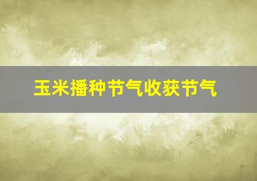 玉米播种节气收获节气