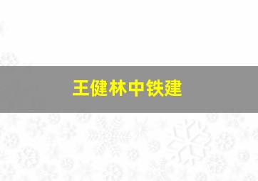 王健林中铁建