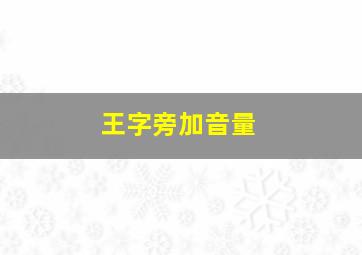 王字旁加音量