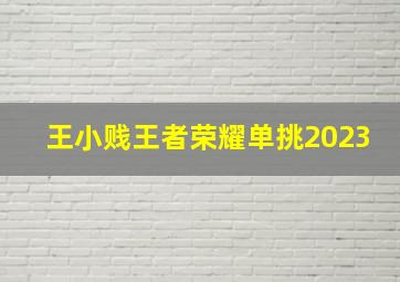 王小贱王者荣耀单挑2023