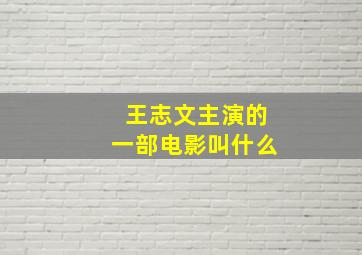 王志文主演的一部电影叫什么