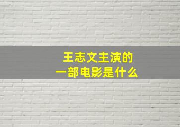 王志文主演的一部电影是什么