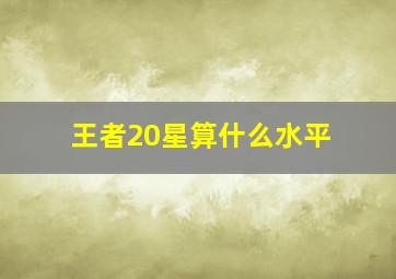 王者20星算什么水平