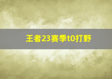 王者23赛季t0打野