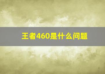 王者460是什么问题