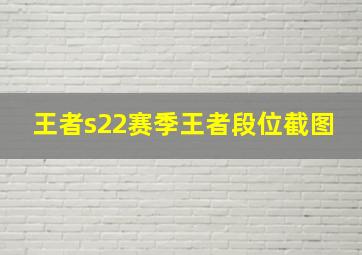 王者s22赛季王者段位截图