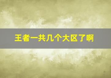 王者一共几个大区了啊