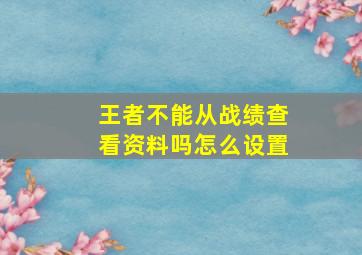 王者不能从战绩查看资料吗怎么设置