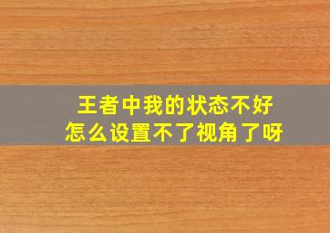 王者中我的状态不好怎么设置不了视角了呀