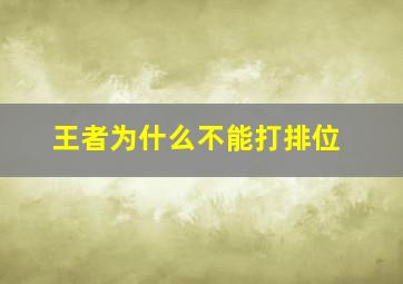 王者为什么不能打排位