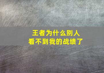 王者为什么别人看不到我的战绩了