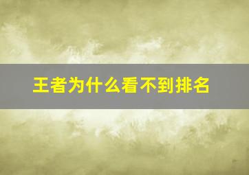 王者为什么看不到排名