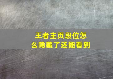 王者主页段位怎么隐藏了还能看到