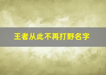 王者从此不再打野名字