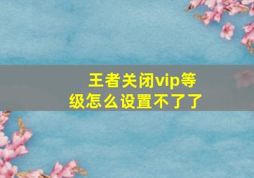 王者关闭vip等级怎么设置不了了