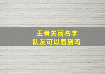 王者关闭名字队友可以看到吗