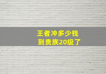 王者冲多少钱到贵族20级了