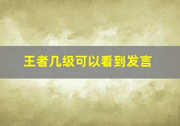 王者几级可以看到发言