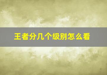 王者分几个级别怎么看