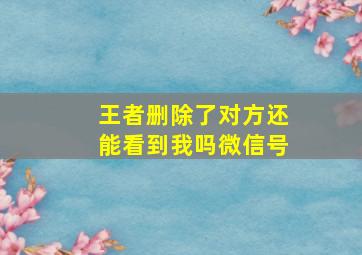 王者删除了对方还能看到我吗微信号