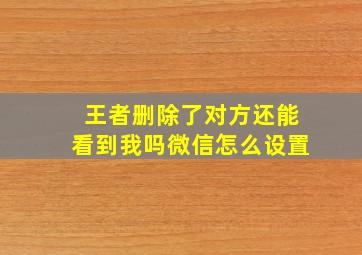 王者删除了对方还能看到我吗微信怎么设置