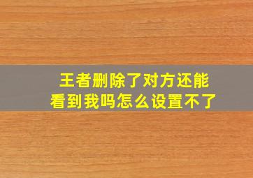 王者删除了对方还能看到我吗怎么设置不了