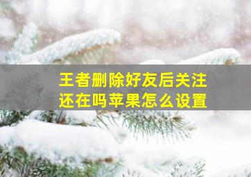 王者删除好友后关注还在吗苹果怎么设置