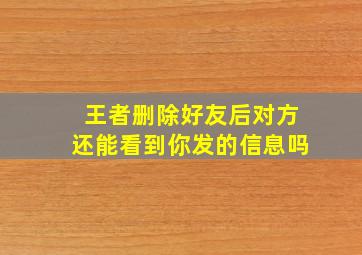 王者删除好友后对方还能看到你发的信息吗