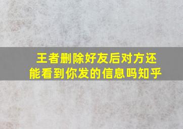 王者删除好友后对方还能看到你发的信息吗知乎