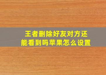 王者删除好友对方还能看到吗苹果怎么设置