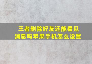 王者删除好友还能看见消息吗苹果手机怎么设置