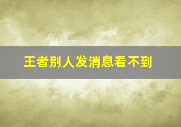 王者别人发消息看不到