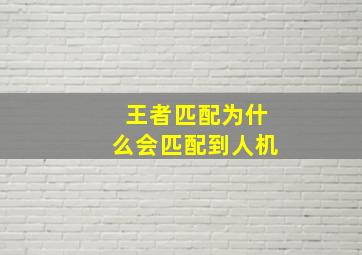 王者匹配为什么会匹配到人机