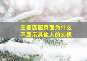 王者匹配页面为什么不显示其他人的头像