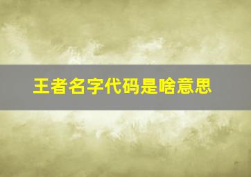 王者名字代码是啥意思